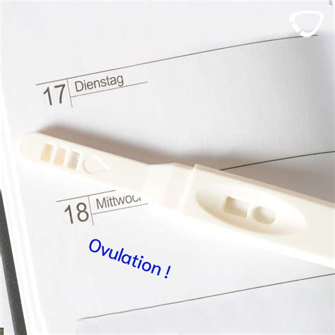 Reconnaître l ovulation Quand a lieu l ovulation cyclotest