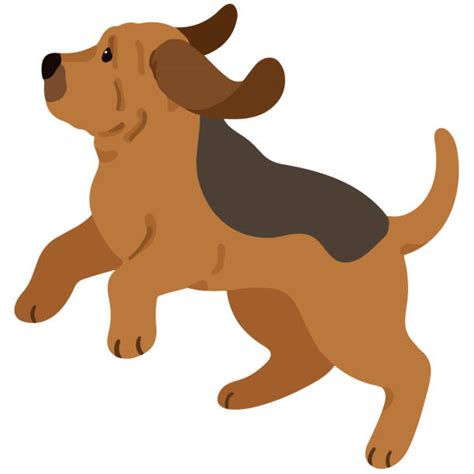 Bloodhounds Drawing Stock Photos Pictures And Royalty Free Images Istock