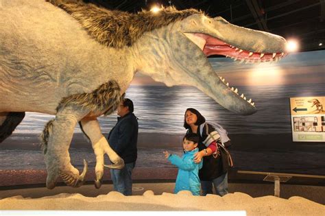 Dinosaur Exhibit At The Dunn Museum Shaw Local