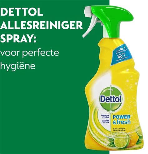 Dettol Allesreiniger Spray Power And Fresh Citrus 500ml X2 Bol