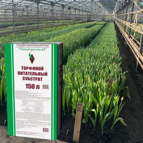 Торф Пельгорское-М верховой сфагновый чистый 150 л — купить в Петровиче ...