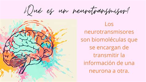 Tomidigital Neurotransmisores