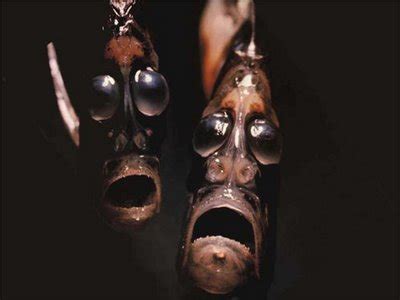 deep sea hatchetfish image - Dark Force,Science Fiction,Fan Group - ModDB