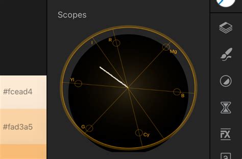 The Vectorscope appears hand drawn? - Affinity on iPad Questions ...