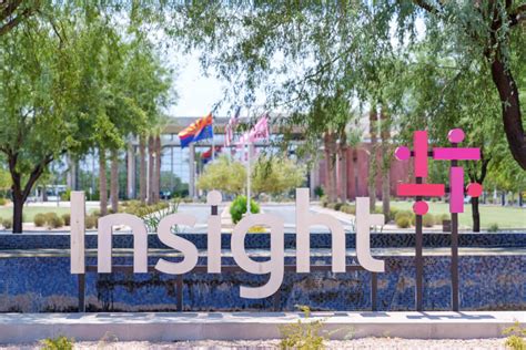 insight ceo   excited   tailwind predicts
