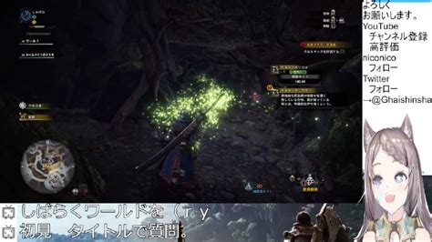 【モンハンワールド＆アイスボーン1】新大陸の狩りへ突撃だー！！しばらくの間はソロで行きます！！【monster Hunter Iceborn