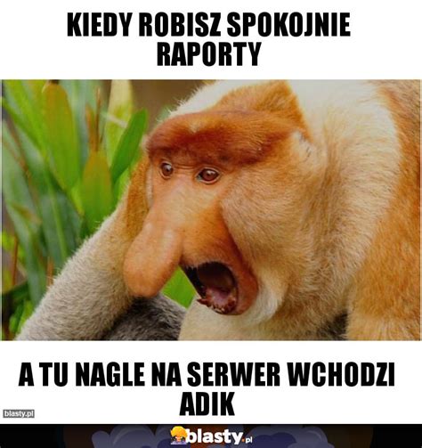 Kiedy Robisz Spokojnie Raporty Memy Gify I Mieszne Obrazki Facebook