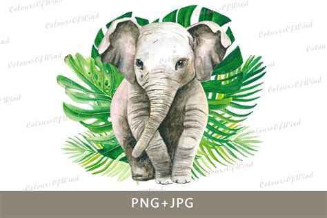 Watercolor Elephant Sublimation Print Graphic By Colours Of Wind