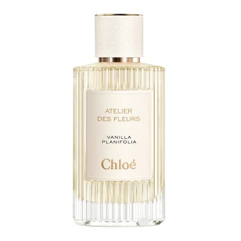 female daily editorial wangi seharian   tips memilih parfum