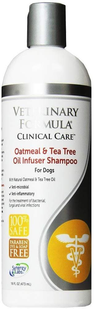 Best Dog Shampoo For Dogs With Dry & Itchy Skin