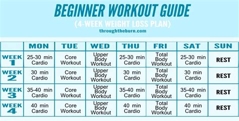 Beginner Workout Plan