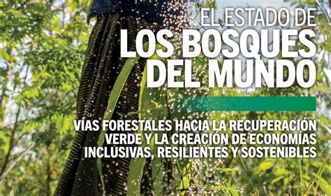 El estado de los bosques del mundo 2022 EÁREA