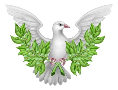 White Dove Peace With Olive Branch Stock Vector Illustration Of