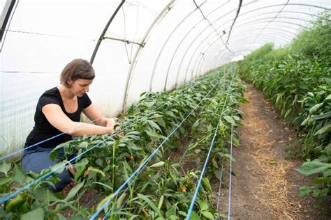 Europ Ische Innovationspartnerschaft F Landwirtschaftliche