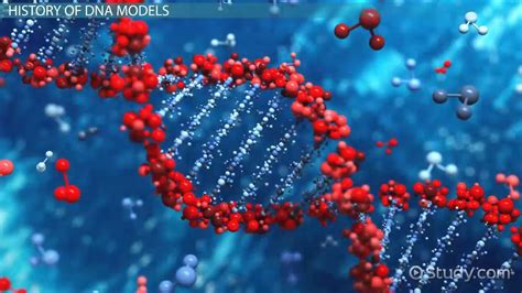 Watson And Crick Model Of Dna Overview Experiment And Base Pairing