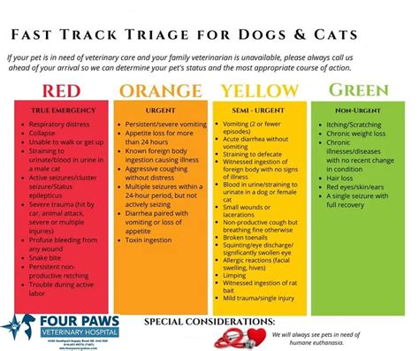 Veterinary Triage Chart Worldwide Shipping Pinnaxis