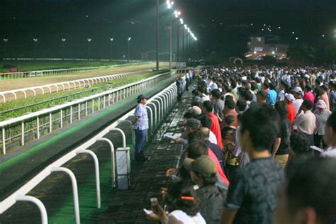 제주경마공원 20일부터 야간경마여름축제도 헤드라인제주