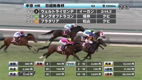 【115 日経新春杯ほか】中京ダイジェストjraレース結果 競馬予想動画