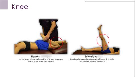 ROM - Knee Diagram | Quizlet