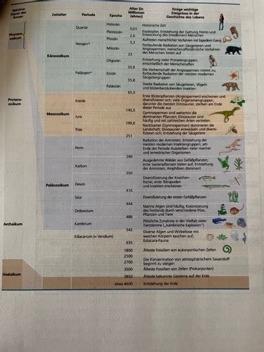 Zusammenfassung Bio Evo Flashcards Quizlet