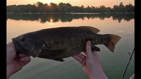 Kayak Fishing Big Bass Strikes Return Of The Smallies YouTube