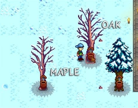 Maple Tree Stardew Fall - Goimages Smidgen