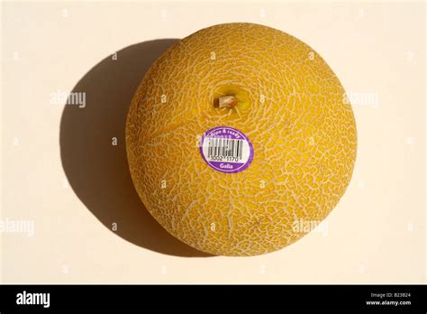 Galia Melon With Ripe And Ready To Eat Sticker Stock Photo Alamy