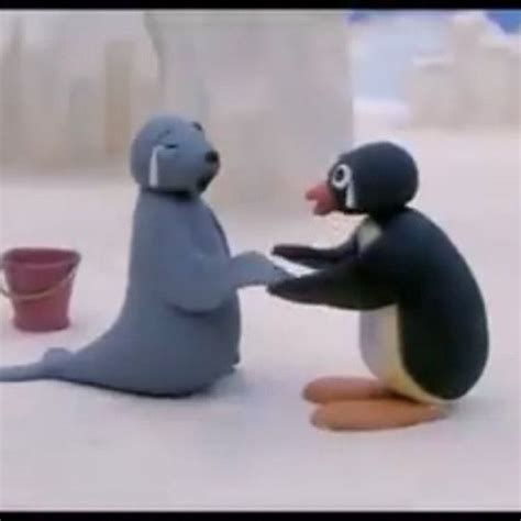 Pin De Grace Em Memes Pingu Desenho Fotos De Animais Engra Ados