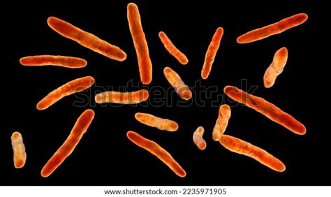 Bacteria Mycobacterium Bovis 3d Illustration Causative Stock ...