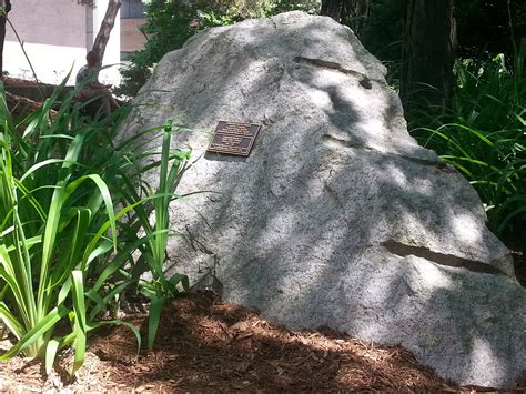 Porphyritic Biotite Granite | Peter Russell Rock Garden | University of ...