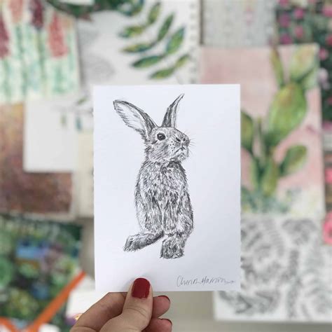 Baby Bunny Drawing | Wildlife Inspired Gifts by Cherith Harrison