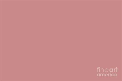 Sanctuary Dark Pastel Pink Solid Color Pairs To Sherwin Williams