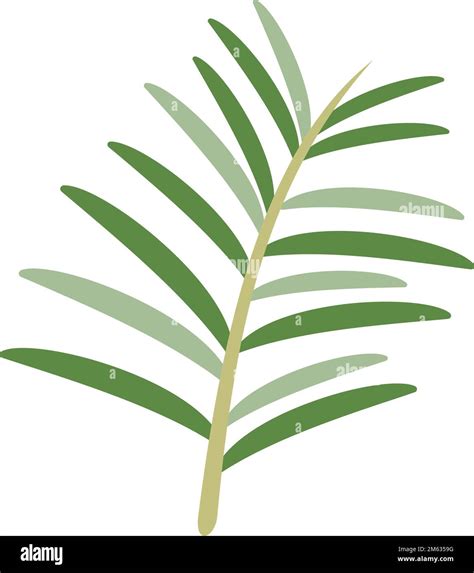 Nature Rosemary Icon Flat Vector Herb Plant Leaf Branch Isolated