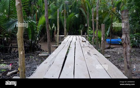 Wooden Plank Bridge By The River With Nipa Forest In The Background