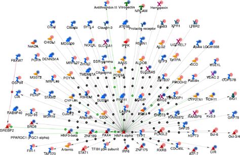 GeneGo transcription factor network built for HNF 4α Networks built