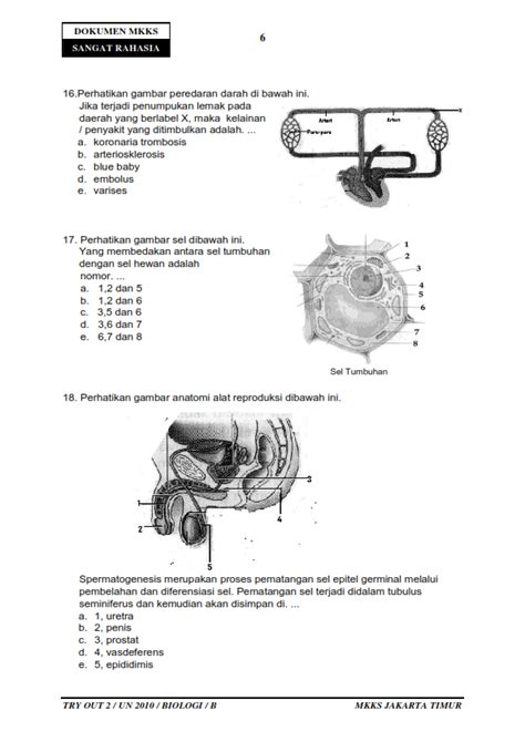 Try Out 4 Biologi Jakarta Biology Page