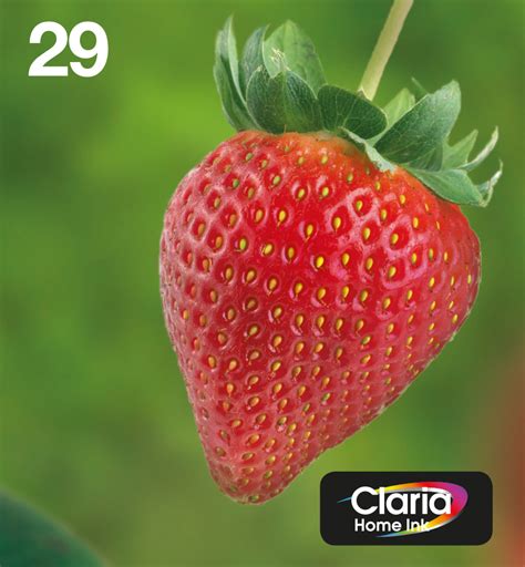 Epson Strawberry Multipack EasyMail Fraise 29 Encre Claria Home N C