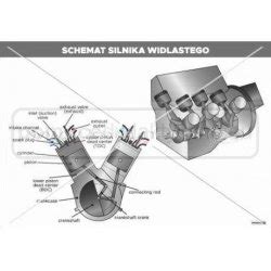 SILNIKI budowa i rodzaje silników w pojazdach kołowych 6 sztuk