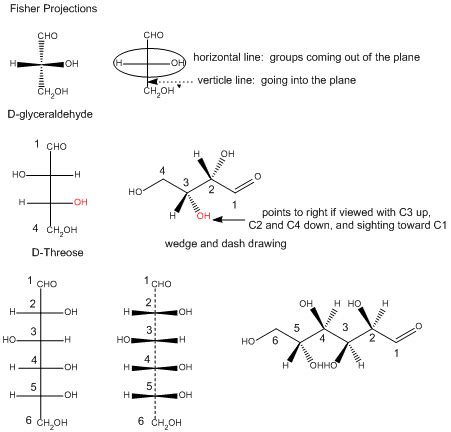 Aldohexose Cyclic Form