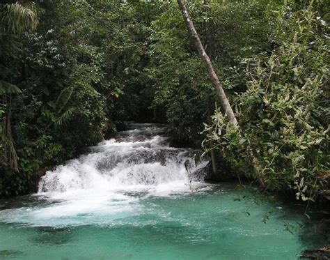 Cachoeira Do Formiga Regi O No Jalap O No Estado Do Tocantins To