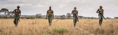 Poaching In Africa