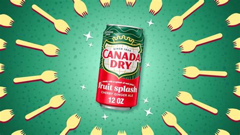 An Honest Review Of New Canada Dry Fruit Splash