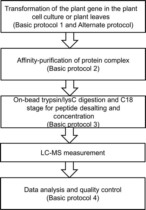 Workflow For Characterization Of Protein Protein Interactions By