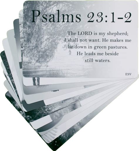 Buy Popular Scripture Cards Pack Inspirational Memorization Bible