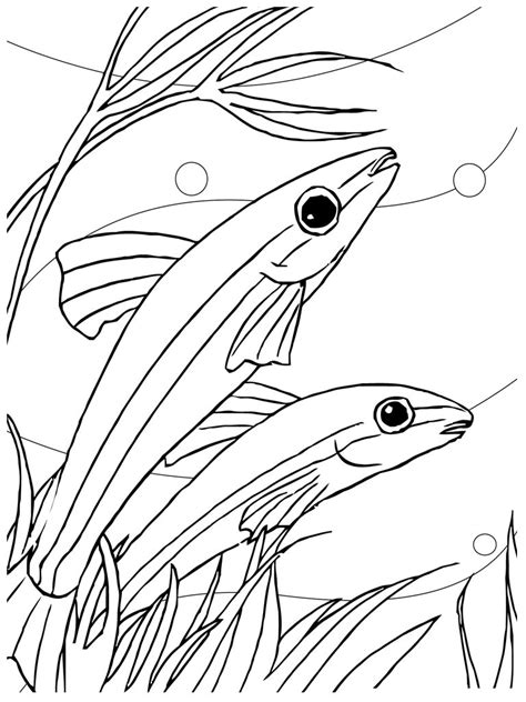 Free Printable Fish Coloring Pages For Kids