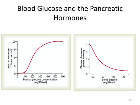 Ppt Pancreatic Hormones Powerpoint Presentation Free Download Id