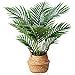 LOMANTO Fake Majesty Palm Plant 2Ft Artificial Plants For Home Decor