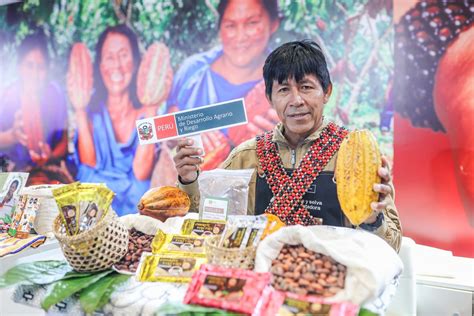 Midagri Impulsa Cadena Productiva Del Cacao Con Sostenibilidad