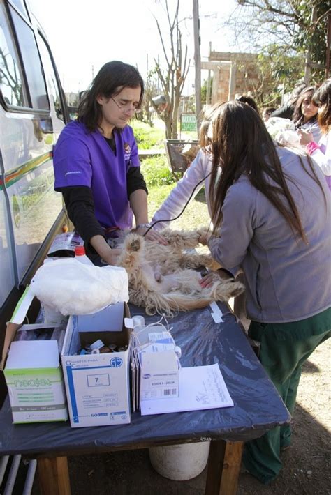 Prensa Municipalidad José C Paz FELIZ DIA DEL VETERINARIO