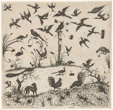 Birds Esaias Van Hulsen 1617 Rijksmuseum Bird Drawings Drawing